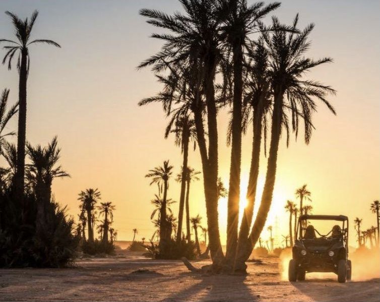 Palm grove at sunset with an off-road vehicle